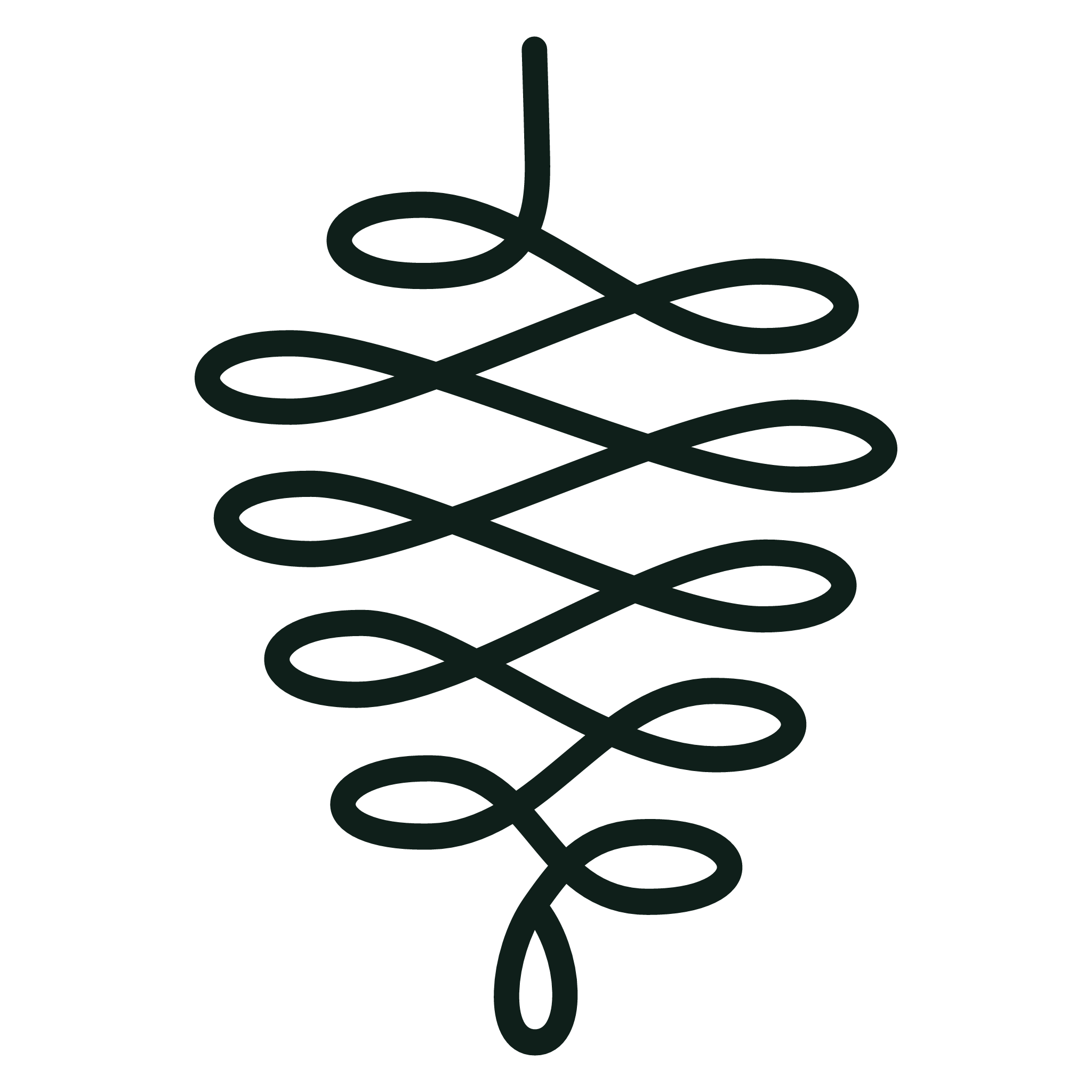 PINEKID Logo